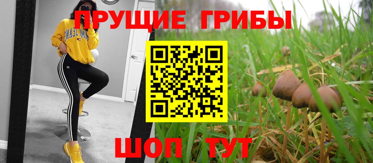 Галлюциногенные грибы Magic Shrooms  Вход с VPN  Тихорецк 