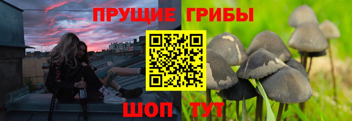 Псилоцибиновые грибы мухоморы Тихорецк